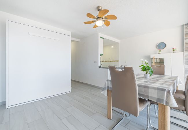 Apartamento em Benidorm - LOIXANA 10-8 (1 QUARTO) Levante Beach Apartamento em Benidorm - LOIXANA 10-8 (1 QUARTO) Levante Beach