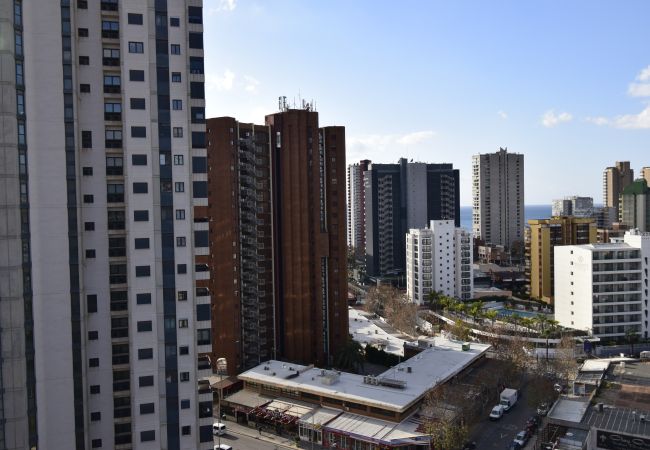 Apartamento em Benidorm - LIDERSOL 14G2 (2 QUARTOS) Apartamento em Benidorm - LIDERSOL 14G2 (2 QUARTOS)