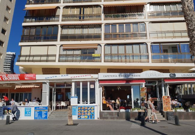 Apartamento em Benidorm - CACHIRULO 3B (1  QUARTO) Apartamento em Benidorm - CACHIRULO 3B (1  QUARTO)