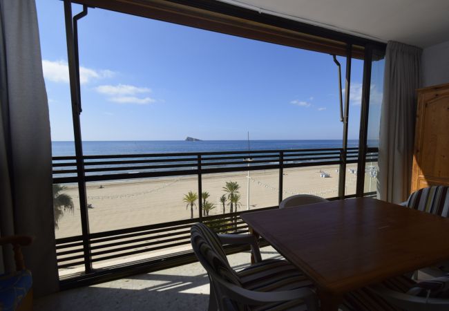 Apartamento em Benidorm - CACHIRULO 3B (1  QUARTO) Apartamento em Benidorm - CACHIRULO 3B (1  QUARTO)
