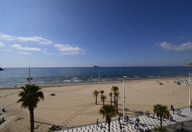 Apartamento em Benidorm - CACHIRULO 3B (1  QUARTO) Apartamento em Benidorm - CACHIRULO 3B (1  QUARTO)