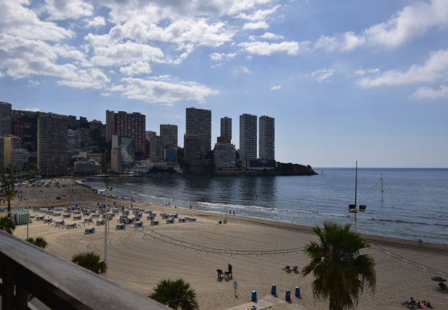 Apartamento em Benidorm - CACHIRULO 3B (1  QUARTO) Apartamento em Benidorm - CACHIRULO 3B (1  QUARTO)