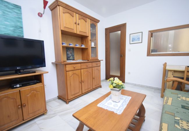Apartamento em Benidorm - CACHIRULO 3B (1  QUARTO) Apartamento em Benidorm - CACHIRULO 3B (1  QUARTO)