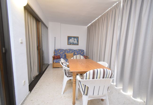 Apartamento em Benidorm - CACHIRULO 3B (1  QUARTO) Apartamento em Benidorm - CACHIRULO 3B (1  QUARTO)
