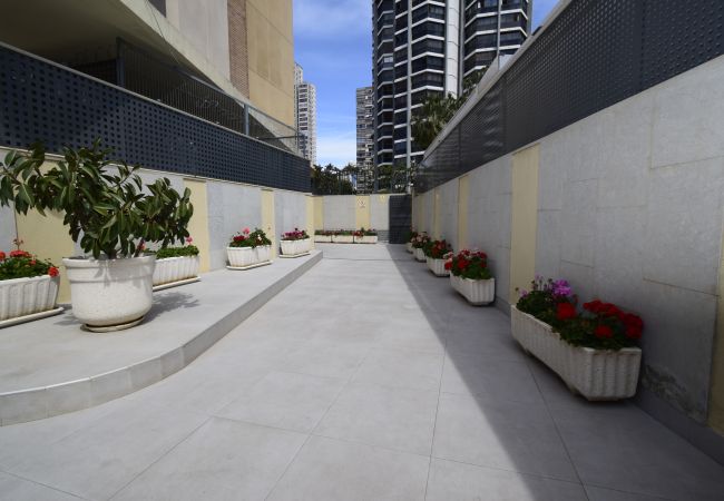 Apartamento em Benidorm - GEMELOS 23 (2 QUARTOS) Apartamento em Benidorm - GEMELOS 23 (2 QUARTOS)