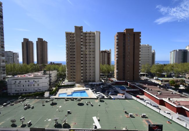 Apartamento em Benidorm - GEMELOS 23 (2 QUARTOS) Apartamento em Benidorm - GEMELOS 23 (2 QUARTOS)