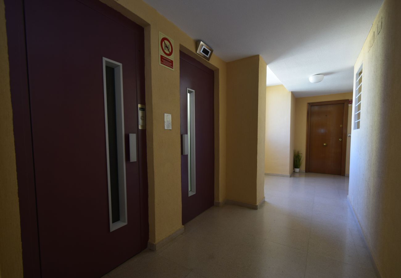 Apartamento em Benidorm - COBLANCA 29 16-5