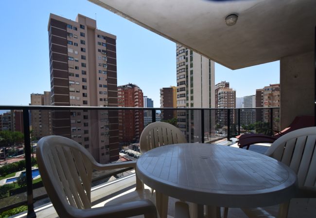 Apartamento em Benidorm - TORRE IPANEMA 6A - 1 ROOM