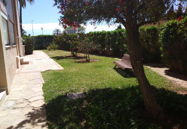 Apartment in Denia - Nice apartment by the sea in Mediterraneo Playa