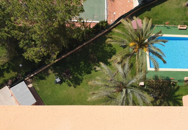 Apartment in Benidorm - ALHAMBRA (1Bedroom)