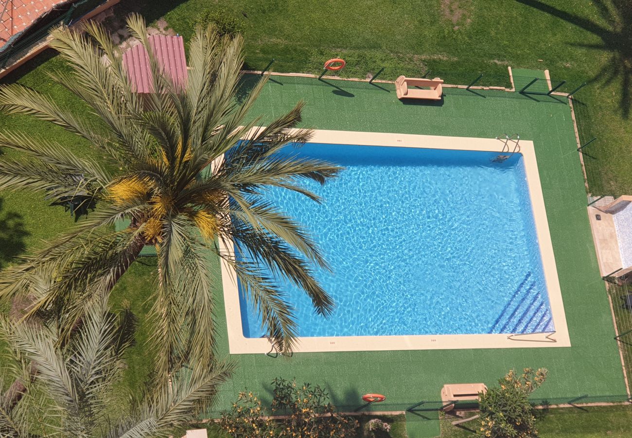 Apartment in Benidorm - ALHAMBRA (1Bedroom)