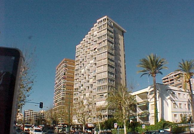 Apartment in Benidorm - LOS CABALLOS (1 BEDROOM APARTMENT)