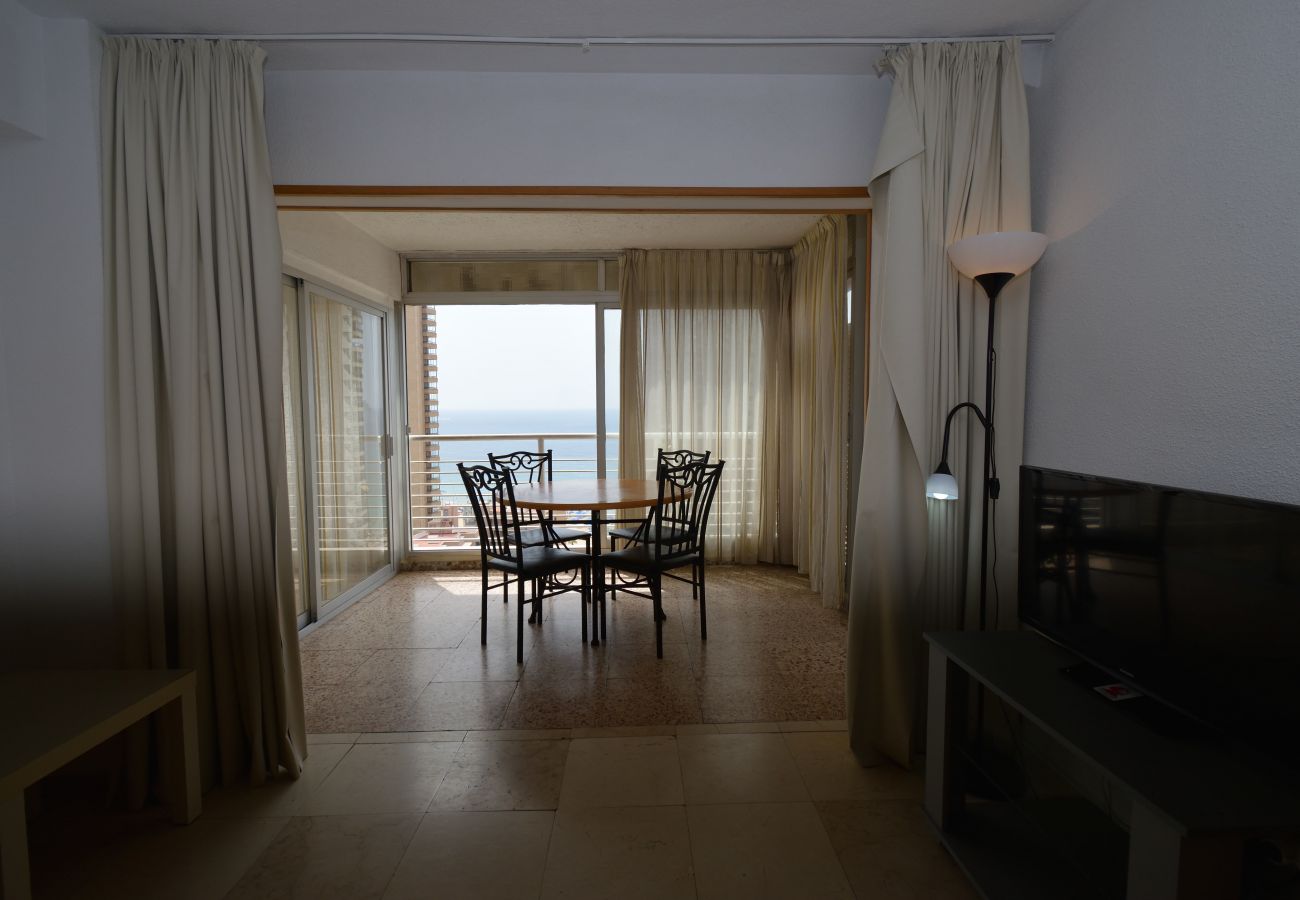 Apartment in Benidorm - LOS CABALLOS (1 BEDROOM APARTMENT)