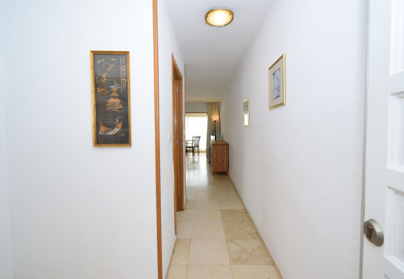 Apartment in Benidorm - LOS CABALLOS (1 BEDROOM APARTMENT)