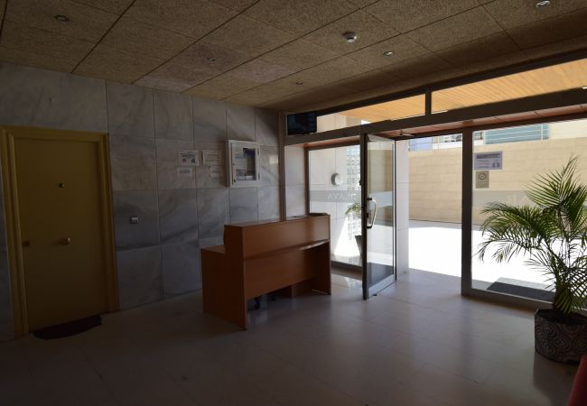 Studio in Benidorm - MIRAMAR PLAYA (STUDIO) Studio in Benidorm - MIRAMAR PLAYA (STUDIO)