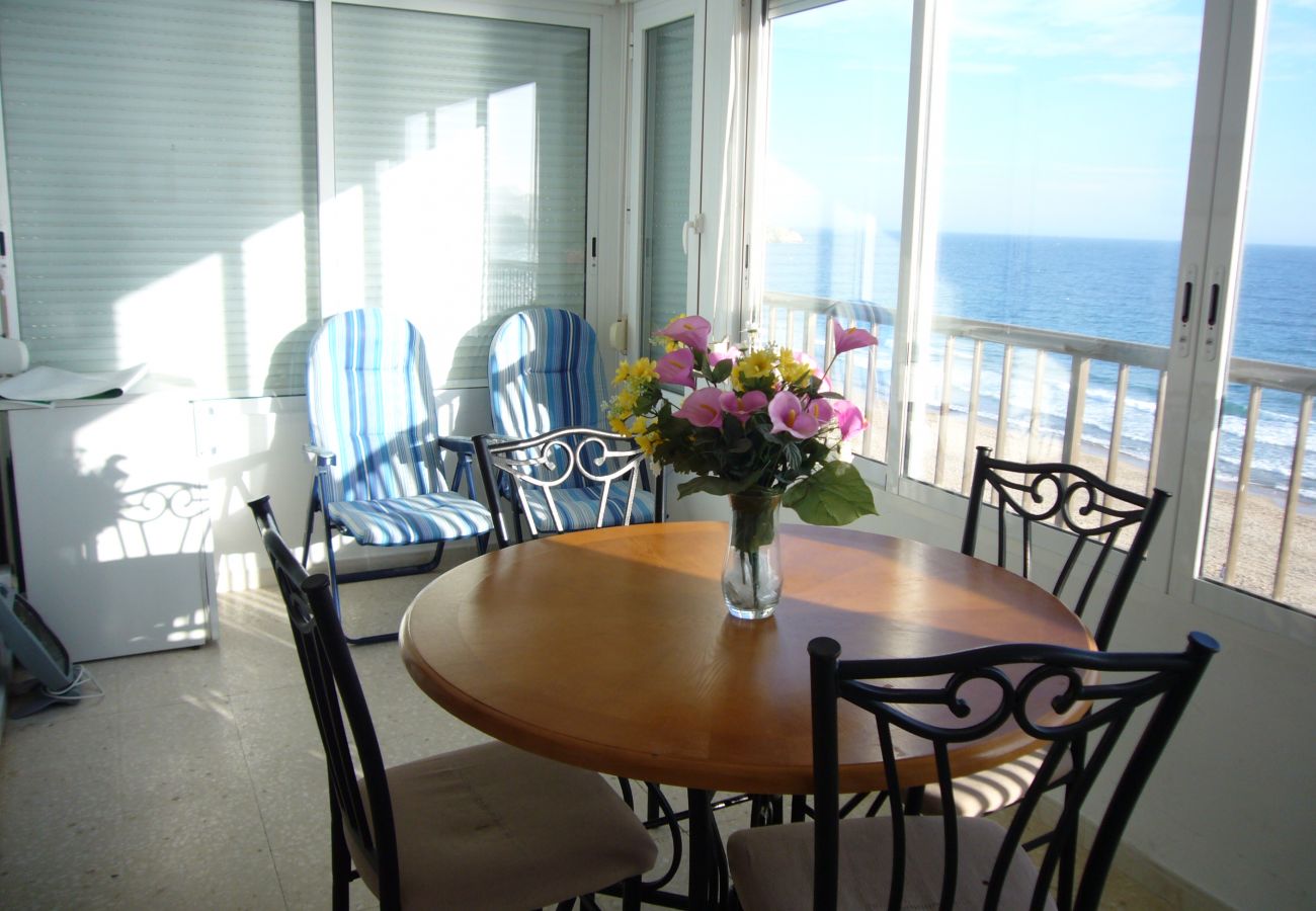 Apartment in Benidorm - MIRAMAR PLAYA (1 BEDROOM)