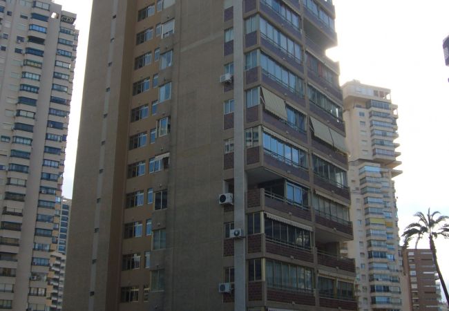 Apartment in Benidorm - MARISCAL 1 (1 BEDROOM) Apartment in Benidorm - MARISCAL 1 (1 BEDROOM)