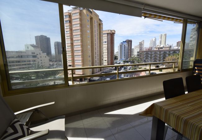 Apartment in Benidorm - MARISCAL 1 (1 BEDROOM) Apartment in Benidorm - MARISCAL 1 (1 BEDROOM)