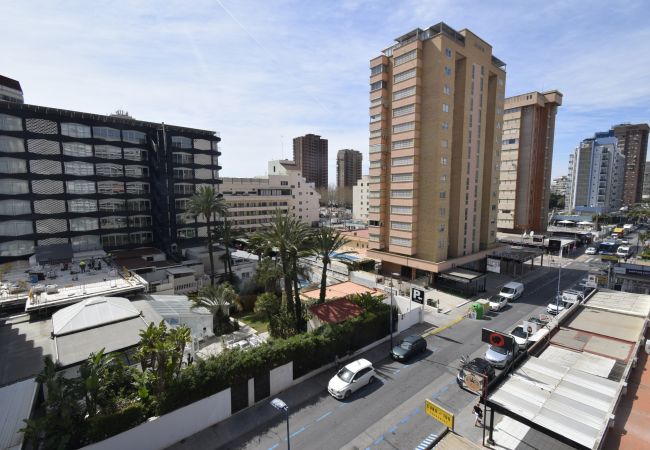 Apartment in Benidorm - MARISCAL 1 (1 BEDROOM) Apartment in Benidorm - MARISCAL 1 (1 BEDROOM)