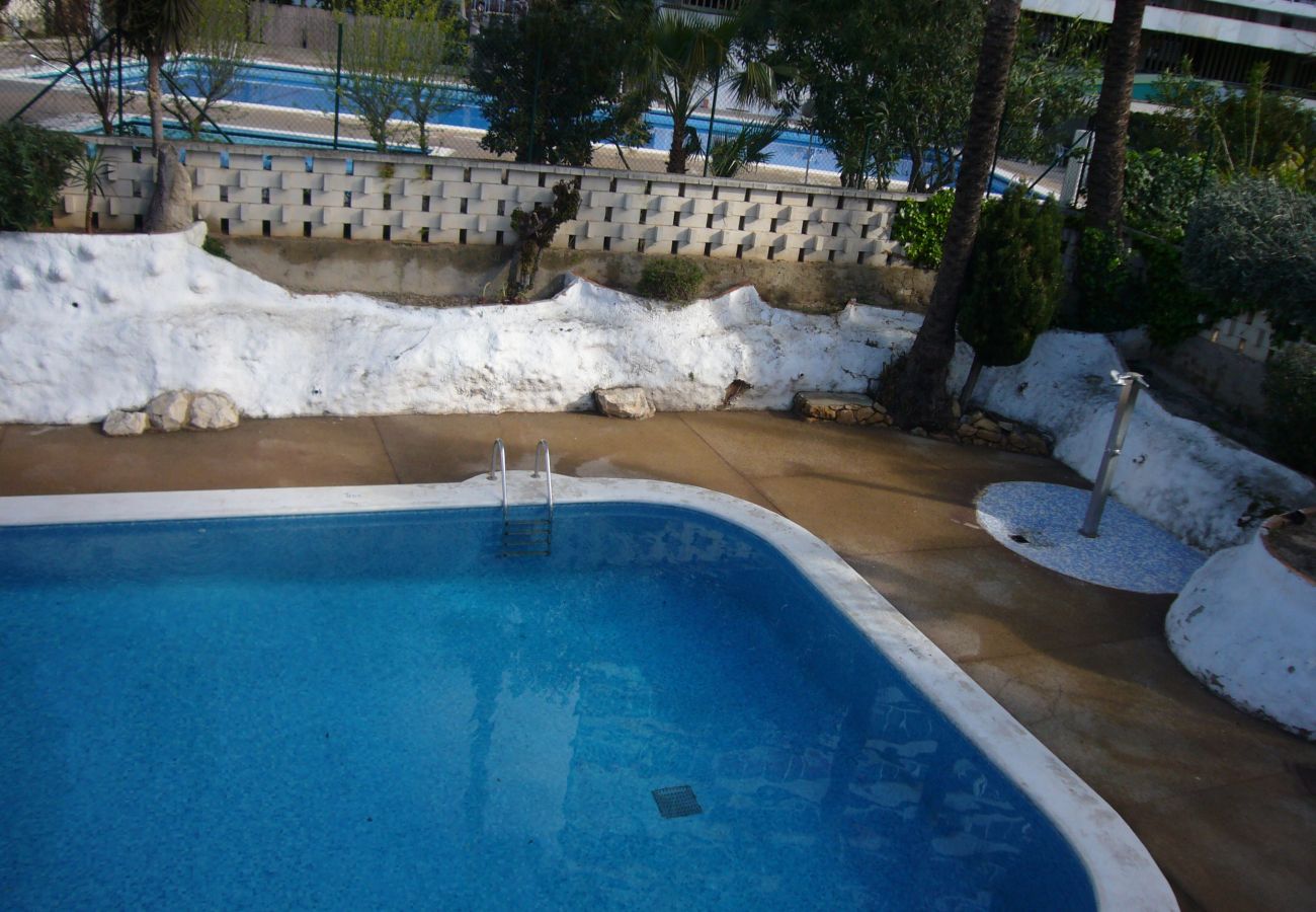 Apartment in Benidorm - MARISCAL 1 (1 BEDROOM)