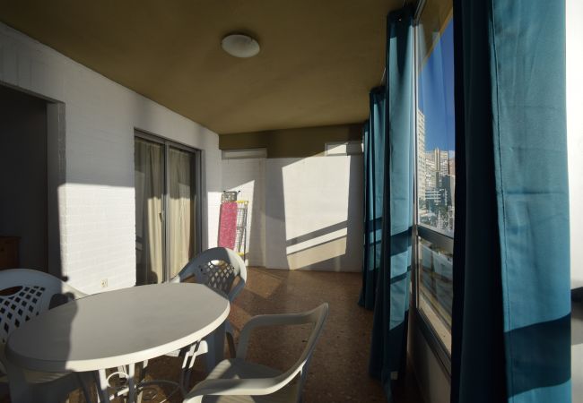 Apartment in Benidorm - CAROLINA (1 BEDROOM) Apartment in Benidorm - CAROLINA (1 BEDROOM)