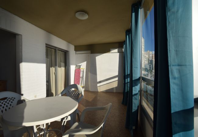 Apartment in Benidorm - CAROLINA (1 BEDROOM)