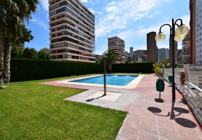 Apartment in Benidorm - CAROLINA (1 BEDROOM)