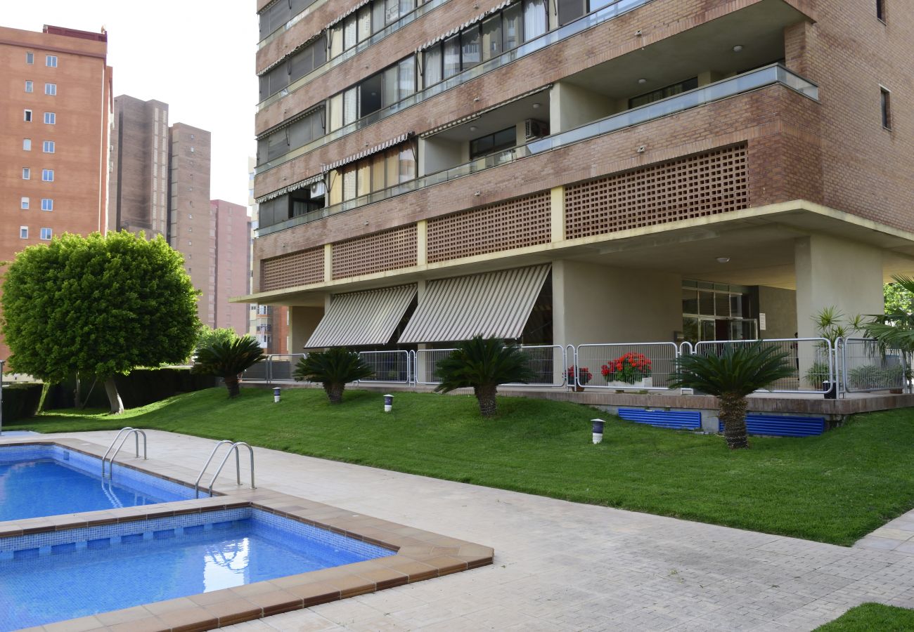 Apartment in Benidorm - PARAISO ESPERANTO (1 BEDROOM)