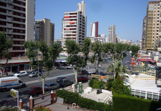 Apartment in Benidorm - EDIMAR (3 BEDROOMS) BENIDORM