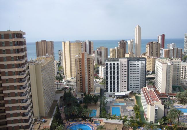 Apartment in Benidorm - GEMELOS 22 (1 BEDROOM) Apartment in Benidorm - GEMELOS 22 (1 BEDROOM)