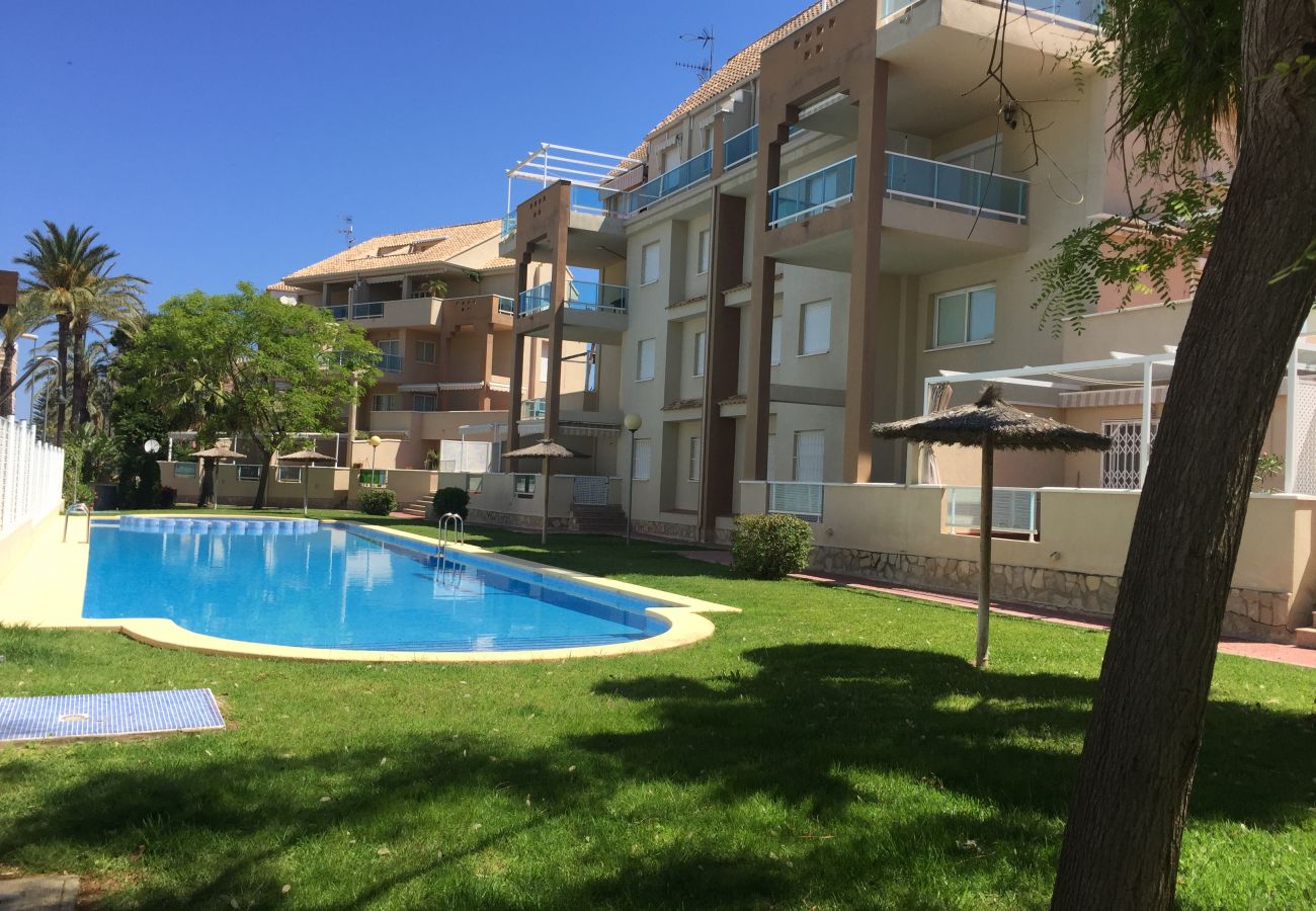 Apartment in Denia - Under in Puerta del Palmar direct exit to the garden and pool