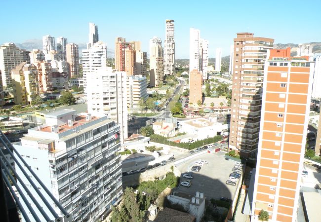 Apartment in Benidorm - ACACIAS 4 (1 BEDROOM) Apartment in Benidorm - ACACIAS 4 (1 BEDROOM)