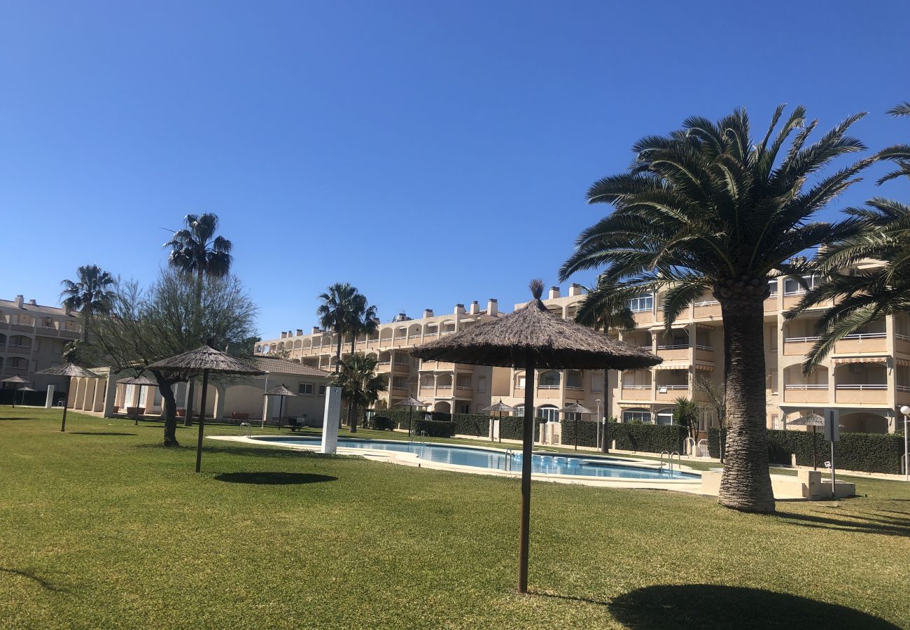 Apartment in Denia - Bahia de Denia beachfront apartment