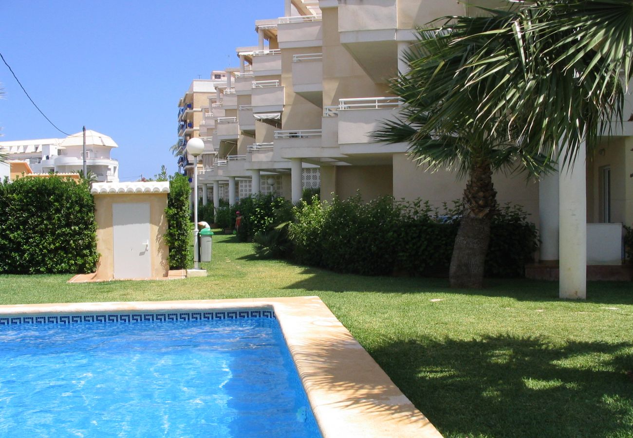 Apartment in Denia - A 50 metros de la playa de Las Marinas -El Faro