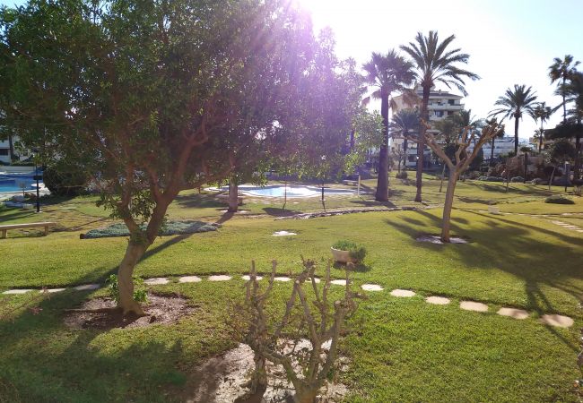 Apartment in Denia - C-1 Apartment in Denia - C-1