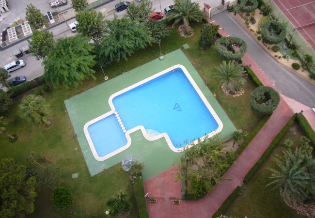  in Benidorm - GEMELOS 10 (1 BEDROOM)