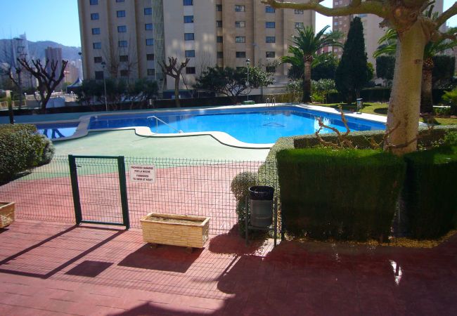 Apartment in Benidorm - GEMELOS 10 (1 BEDROOM)