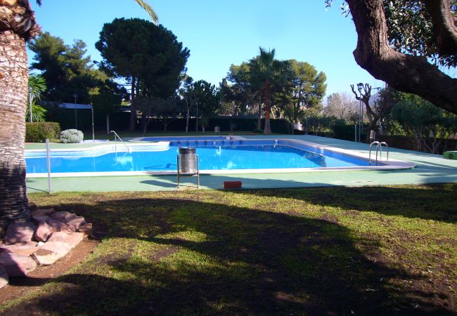 Apartment in Benidorm - GEMELOS 10 (1 BEDROOM)