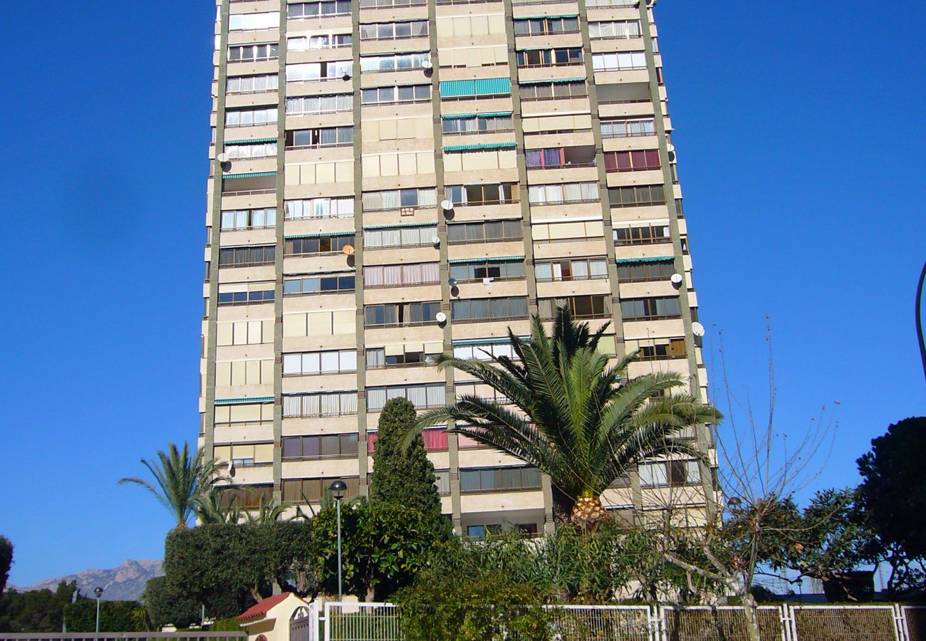 Apartment in Benidorm - GEMELOS 10 (1 BEDROOM)