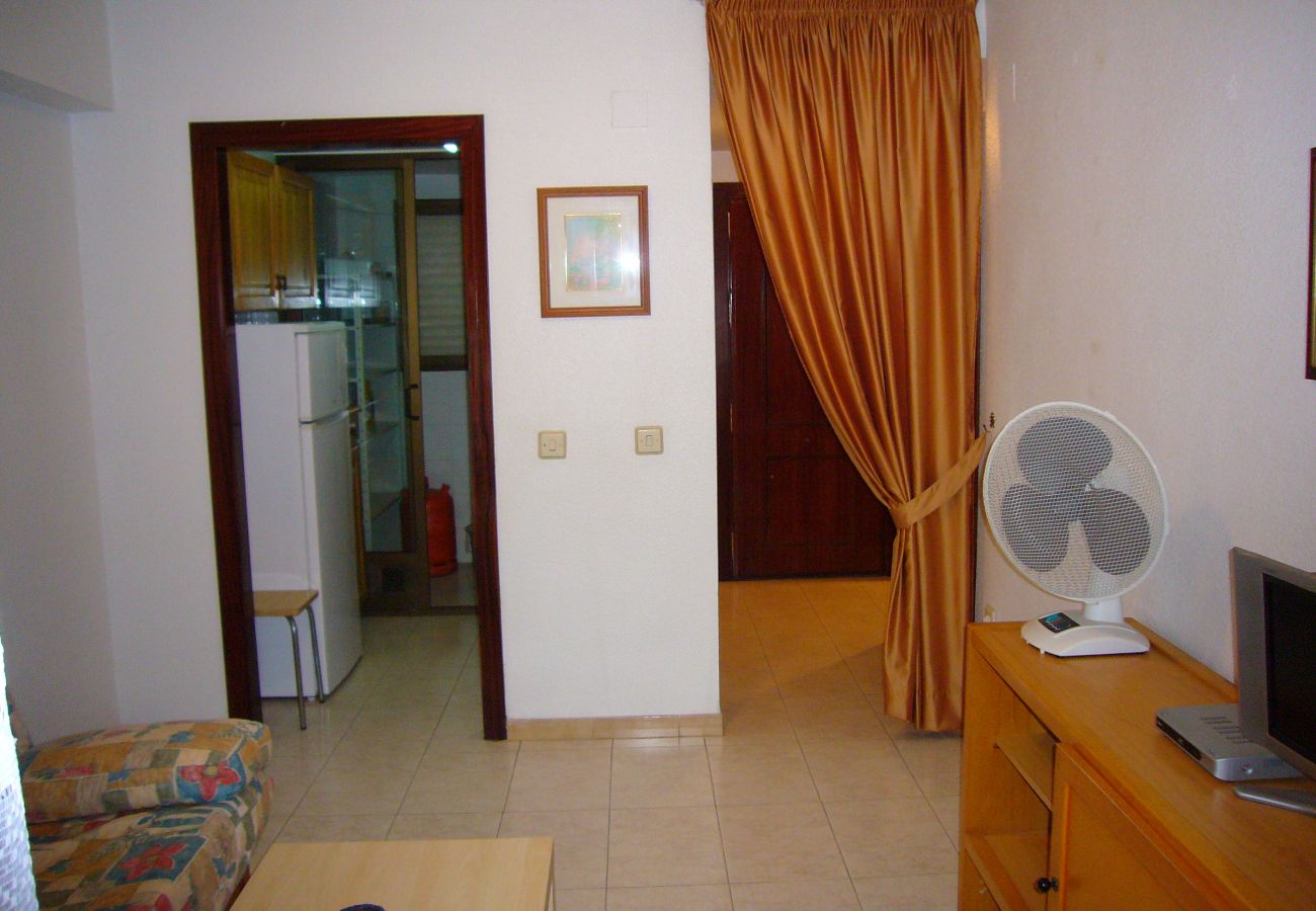 Apartment in Benidorm - GEMELOS 10 (1 BEDROOM)