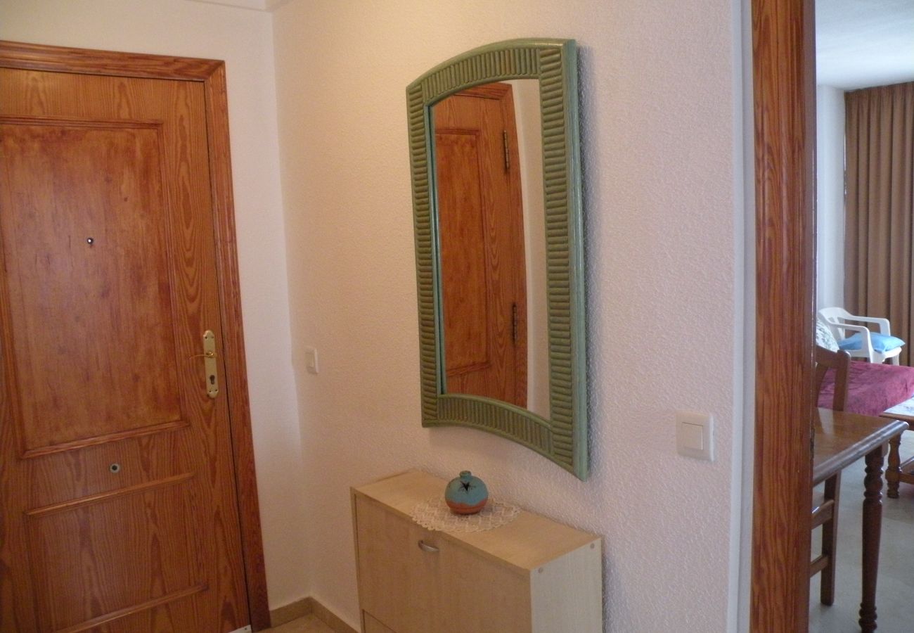 Apartment in Benidorm - KENNEDY 1 (2 BEDROOMS)