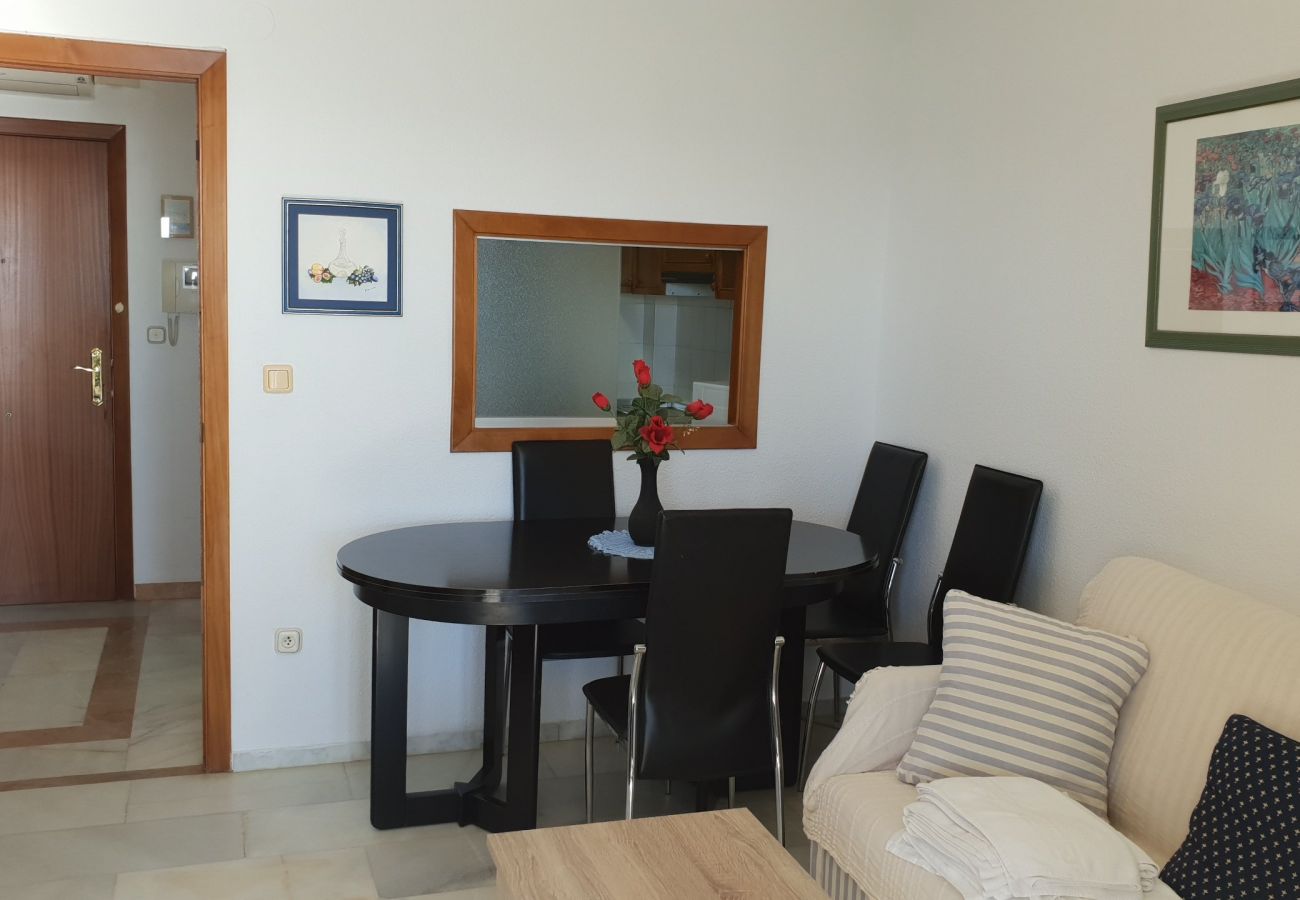 Apartment in Benidorm - CACHIRULO (1 BEDROOM)