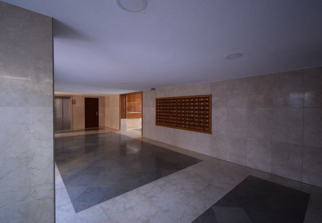 Apartment in Benidorm - PRINCIPADO MARINA (3 BEDROMS) Apartment in Benidorm - PRINCIPADO MARINA (3 BEDROMS)