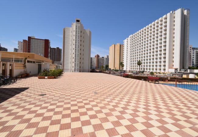 Studio in Benidorm - ACUARIUM 3 (STUDIO) Studio in Benidorm - ACUARIUM 3 (STUDIO)