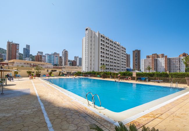 Studio in Benidorm - ACUARIUM 3 (STUDIO) Studio in Benidorm - ACUARIUM 3 (STUDIO)