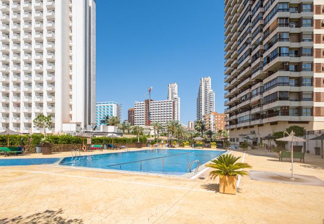 Studio in Benidorm - ACUARIUM 3 (STUDIO) Studio in Benidorm - ACUARIUM 3 (STUDIO)