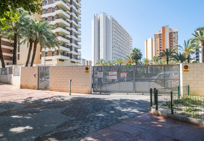 Studio in Benidorm - ACUARIUM 3 (STUDIO) Studio in Benidorm - ACUARIUM 3 (STUDIO)