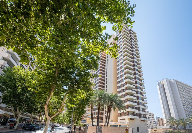 Studio in Benidorm - ACUARIUM 3 (STUDIO) Studio in Benidorm - ACUARIUM 3 (STUDIO)