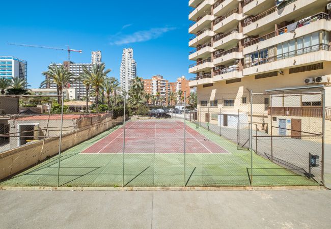 Studio in Benidorm - ACUARIUM 3 (STUDIO) Studio in Benidorm - ACUARIUM 3 (STUDIO)