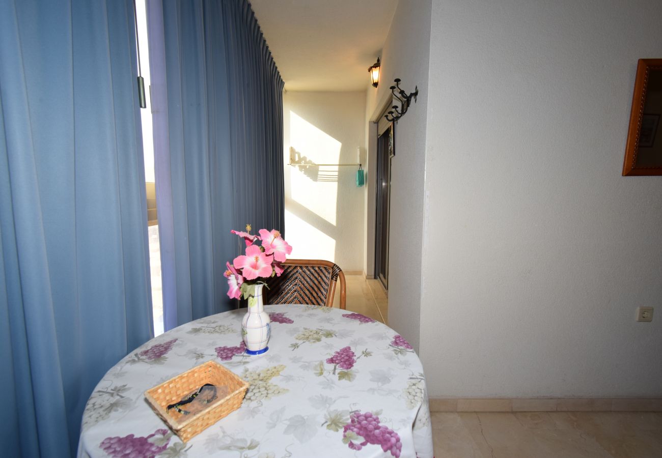 Apartment in Benidorm - GEMELOS 20 (1 BEDROOM)